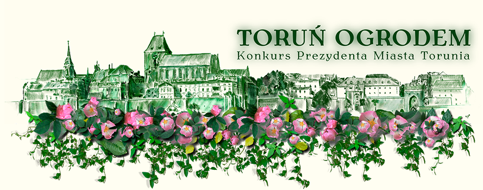 TORUŃ  OGRODEM