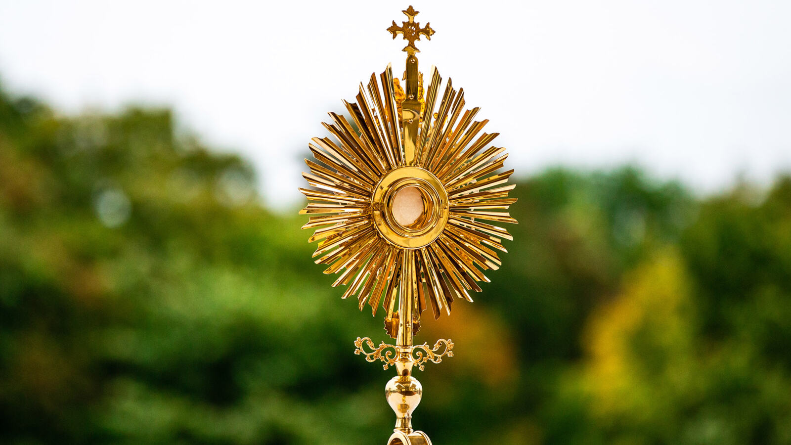 XIII NIEDZIELA ZWYKŁA 02.07.2023